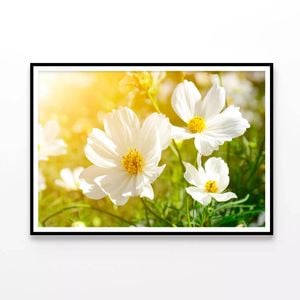 Flowers Close-Up View In Garden  Print 100% Australian Made 120x90cm  (Poster)