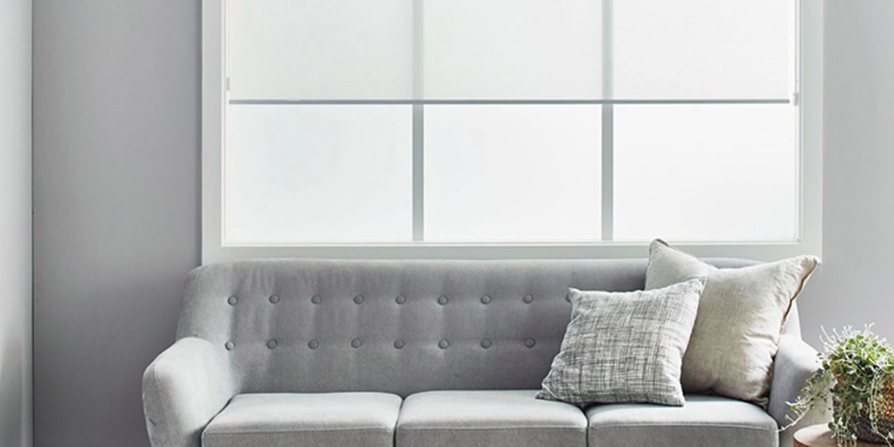Living room with a grey couch with pillows and a pot plant in front of large windows