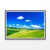 Grassland Scenery  Print 100% Australian Made 90x60cm  (Poster)