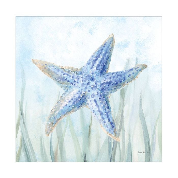 Artey | Undersea Starfish Seaweed - Stretched Canvas - Stretched Canvas - 50 x 50cm