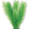 Aqua One Milfoil Green Silk Plant 20cm - Med (24147)