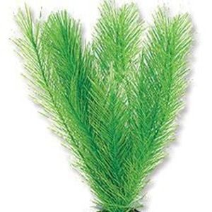 Aqua One Milfoil Green Silk Plant 20cm - Med (24147)