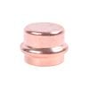 SmarteX-Press 15mm Copper Cap