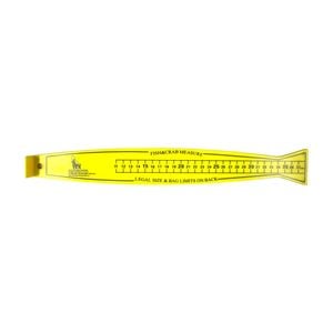 Forceten Fish Measuring Ruler