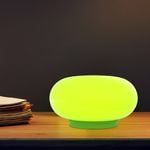 Verve Design Enzo Table & Wall Light - Green