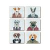 Cinnamon Cork Backed Coasters Set of 6 Dogs Dinner