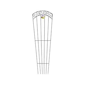 Jack 160 x 50cm Black Tuscan Plant Trainer
