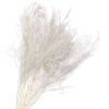Blooms Of Joy 55cm White Tiki Fern Foliage