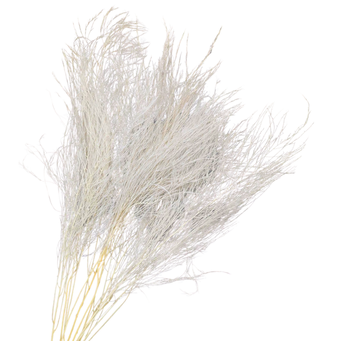 Blooms Of Joy 55cm White Tiki Fern Foliage