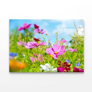Purple Blumenwiese Sommerblumen  Print 100% Australian Made 50 x 40cm  (Acrylic)