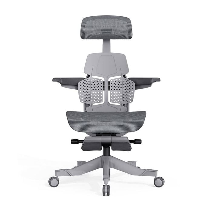 Shappa Paddy - Premium Ergonomic Office Chair Grey