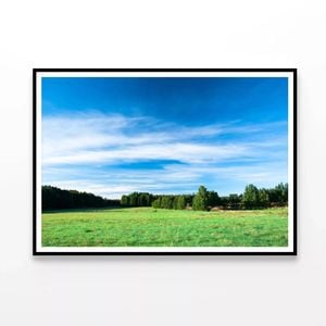 Tranquil Grassland at Sunrise  Print 100% Australian Made 90x60cm  (Poster)