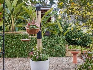 A D.I.Y. nature post photographed in a spring garden