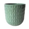 Northcote Pottery 9.5 x 8cm Numi Mini Egg Green Ceramic Indoor Pot