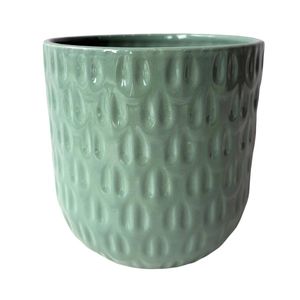 Northcote Pottery 9.5 x 8cm Numi Mini Egg Green Ceramic Indoor Pot