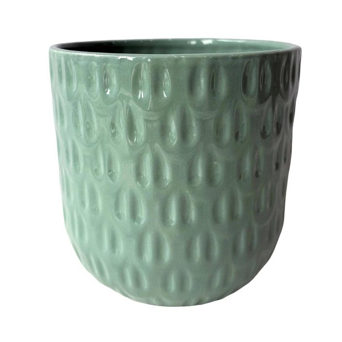 Northcote Pottery 9.5 x 8cm Numi Mini Egg Green Ceramic Indoor Pot