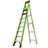 Little Giant 150kg 10 Step Sentinel Platform Ladder LSNT10