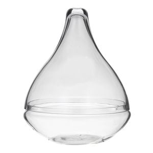 Rogue Seraphina Terrarium Clear 25x25x32cm