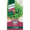 Mr Fothergill's Spearmint Seed Mats