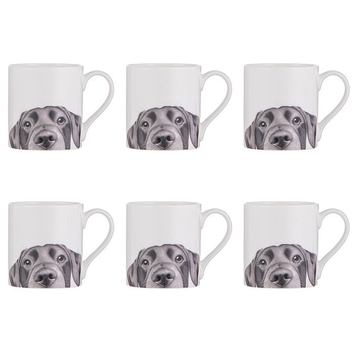 6x Ashdene Peeking Pups Ceramic Drinking Mug Labrador 370ml Animal Art