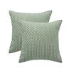 Catzon 2 Pcs Throw Pillow Covers Soft Striped Corduroy Cushion Case for Couch 40X40cm-Bean Green