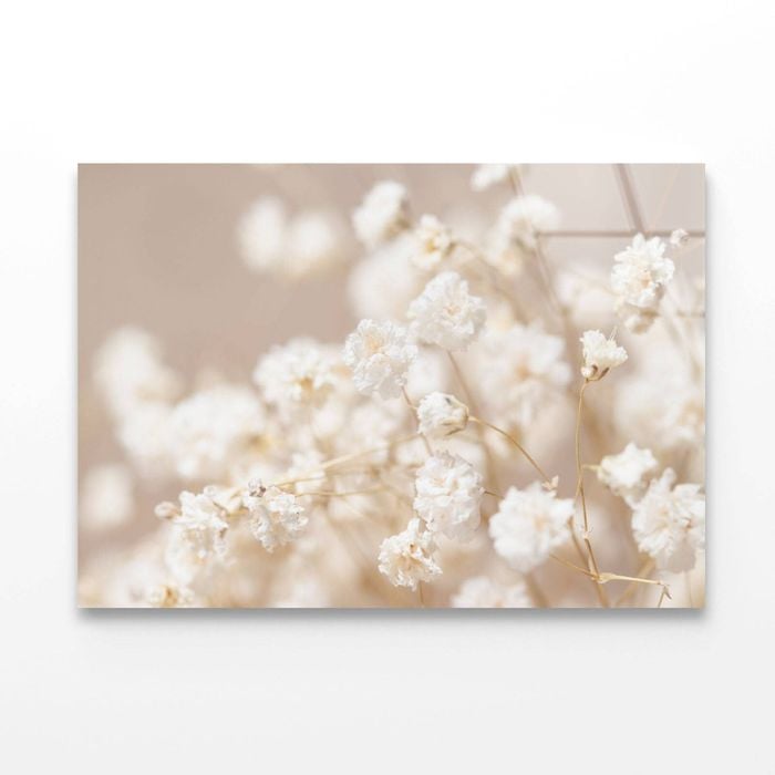 Dry Little White Flowers  Print 100% Australian Made 150 x 100cm  (Acrylic)
