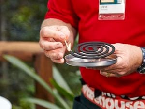 Lighting a mosquito coil