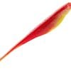 ZMan Scented Jerk ShadZ 5" Soft Plastic Fishing Lure #Bleeding Banana