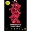 Yarra Valley Bulbs Gladioli Barcelona - 4 Pack