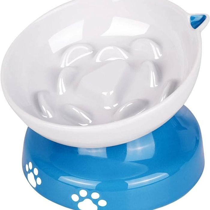 Slow Feeder Cat Bowl, Elevated Ceramic Cat Bowl Tilted Design Slow Feeder for Dog and Cat for Dry and Wet Food, Blue & White