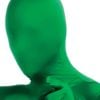 2nd Skin Full Head to Neck Face Mask Adult Halloween Costume Accessory for Sports Fans Green Colour, ADULT