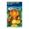 Fiesta Flower Bulbs Iris Germanica Spreckles Bulb