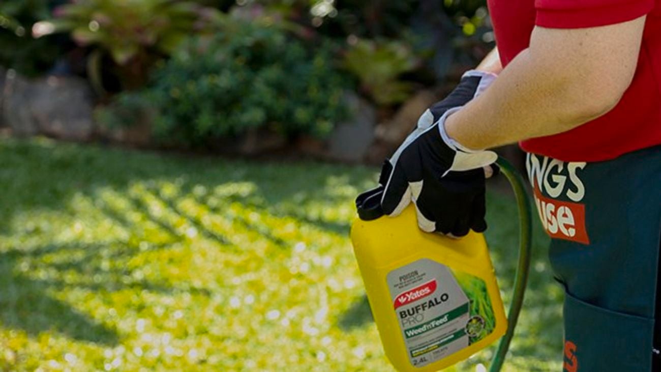 Person spraying Buffalo Pro fertiliser on lawn.