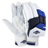 Cricnix Cricket Batting Gloves Classic (Adult/LH)