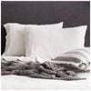 2pc Renee Taylor Comfort T’s Organic Cotton Jersey Standard Pillowcase Ecru