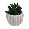 Un-Real 9.5cm White Fluted Pot Artificial Succulent