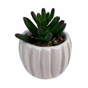 Un-Real 9.5cm White Fluted Pot Artificial Succulent