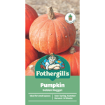 Fothergill's Golden Nugget Pumpkin Vegetable Seeds