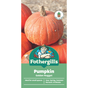 Fothergill's Golden Nugget Pumpkin Vegetable Seeds