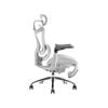 SIHOO Doro-C300 Ergonomic Office Chair with Premium Mesh Seat Headrest Armrest Lumbar Support and Footrest  (Light Grey)
