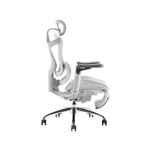 SIHOO Doro-C300 Ergonomic Office Chair with Premium Mesh Seat Headrest Armrest Lumbar Support and Footrest  (Light Grey)