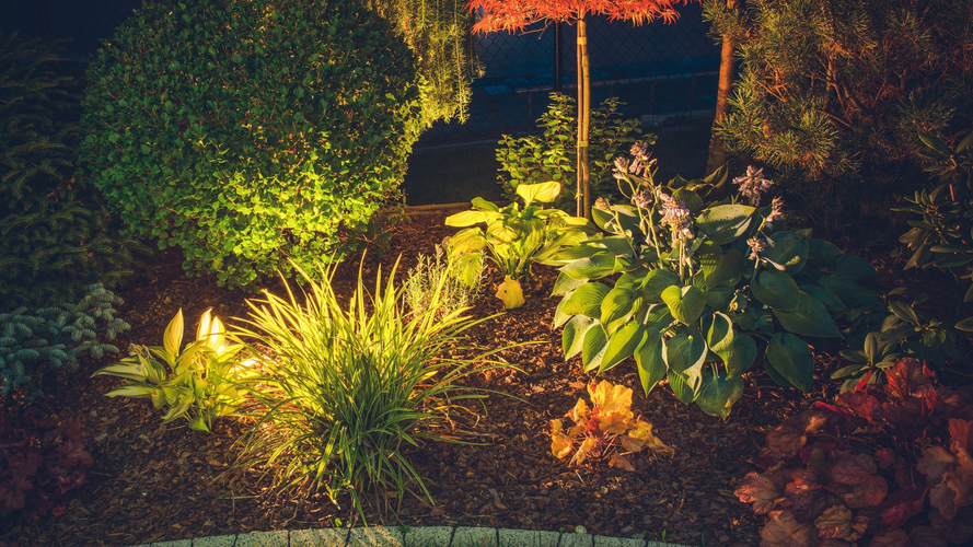 garden bed with shrubs and lighting