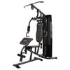 Powertrain Multi Station Home Gym 68kg Weight Stack All-in-One Fitness Workout Machine Lat Pulldown Preacher Curl