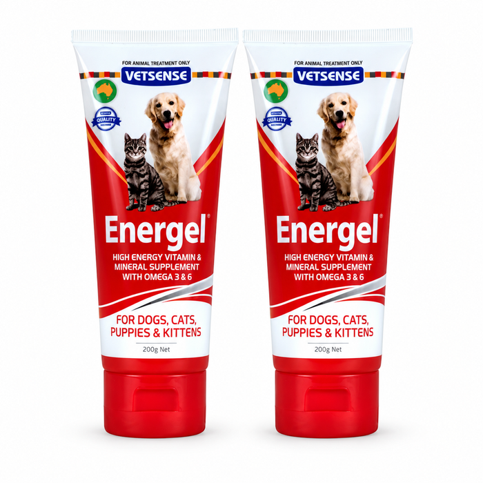 Vetsense Energel 200g 2 Pack | 400g Dog & Cat Supplement