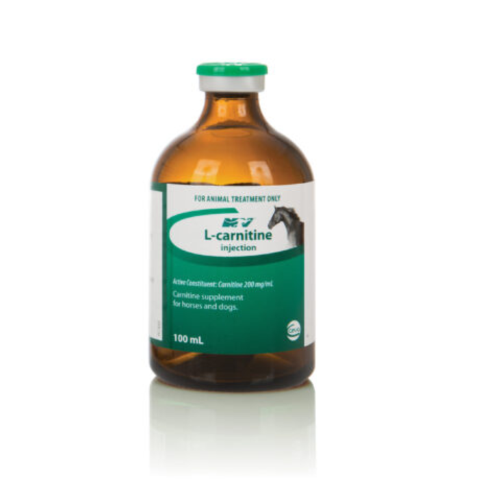 where to buy l carnitine for dogs Fera Pets Cardiac Support for Dogs & Cats main image 0