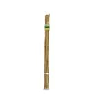 Brunnings 180cm Natural Bamboo Garden Stakes - 10 Pack