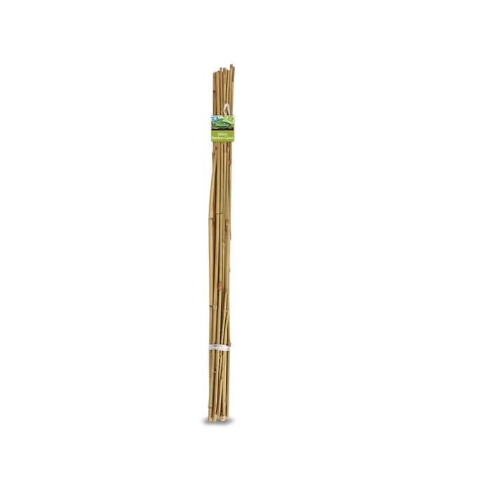 Brunnings 180cm Natural Bamboo Garden Stakes - 10 Pack