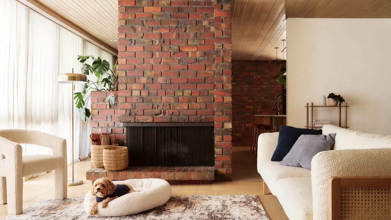 feature red brick wall with fireplace, soft cream lounge and colourfull rug with dog bed and ouppy inside having a sleep
