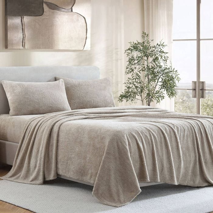 Ardor Boudoir Queen Teddy Fleece Bed Sheet w/ Pillowcase Set - Natural