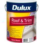 Roof Paint